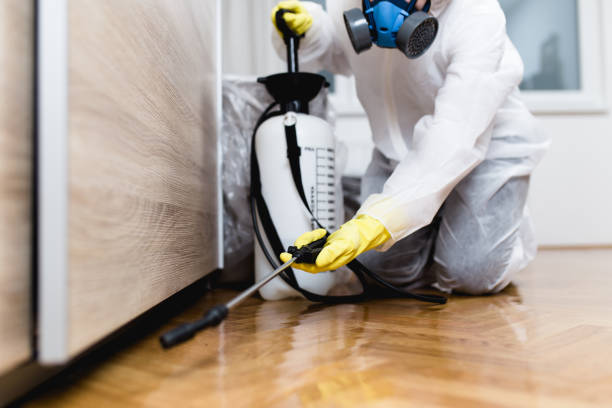 Best Pest Prevention Services  in Wilson, NC