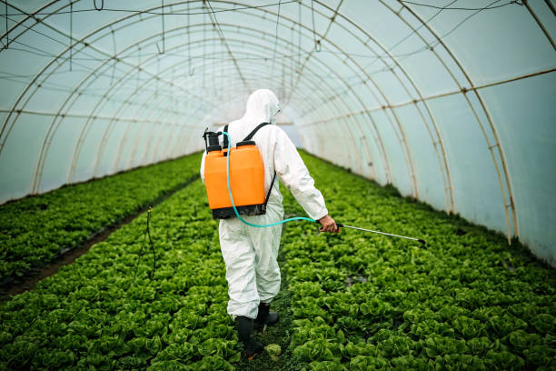 Pest Control for Restaurants in Wilson, NC