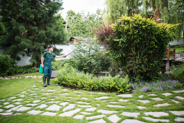 Best Mosquito Control Services  in Wilson, NC