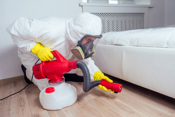 Best Pest Inspection Near Me  in Wilson, NC