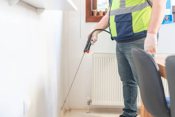Best Ant Control Services  in Wilson, NC