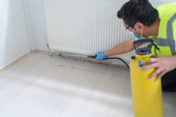 Best Pest Removal Services  in Wilson, NC