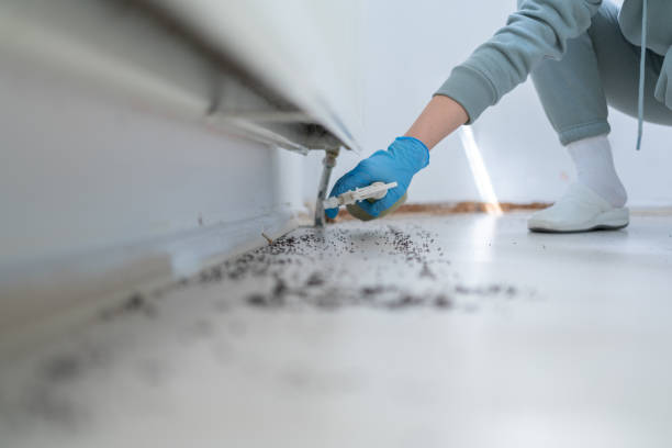 Best Emergency Pest Control  in Wilson, NC