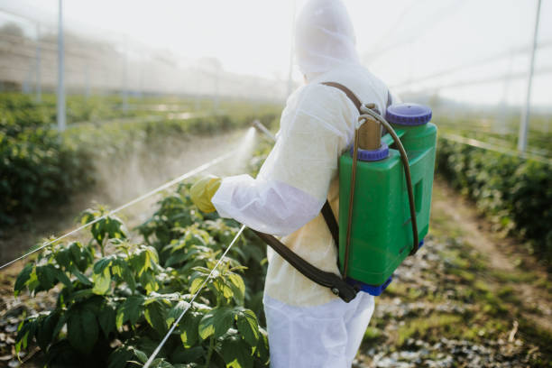 Best Flea Control Services  in Wilson, NC
